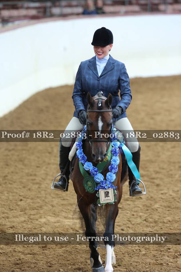 Proof 18R2_02883