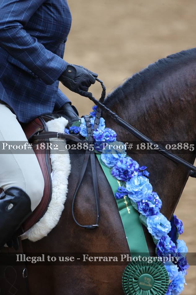 Proof 18R2_02885