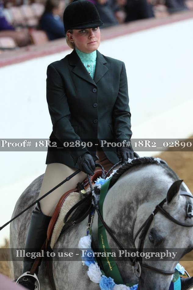 Proof 18R2_02890