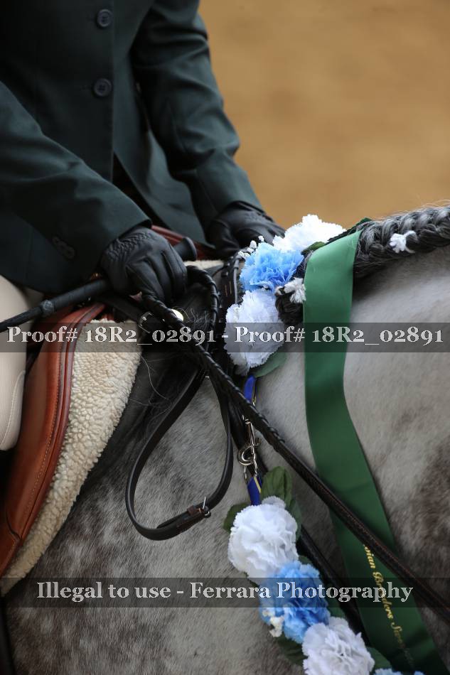 Proof 18R2_02891
