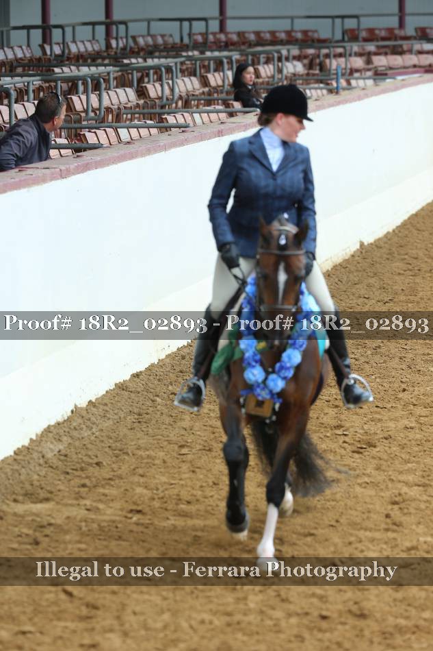 Proof 18R2_02893