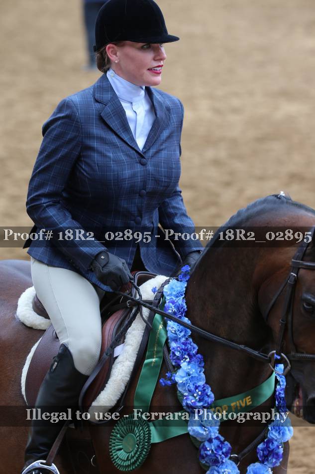 Proof 18R2_02895