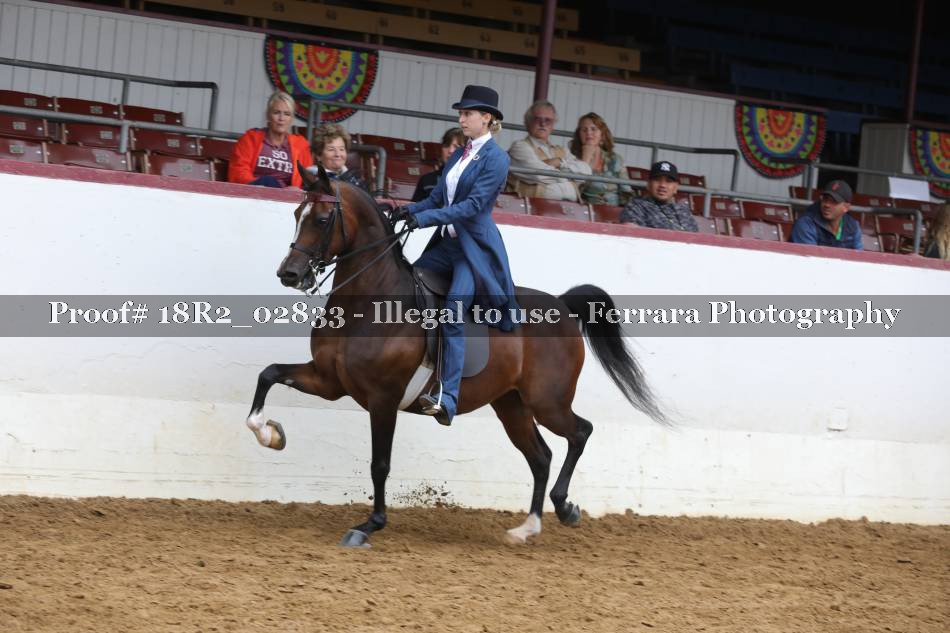 Proof 18R2_02833