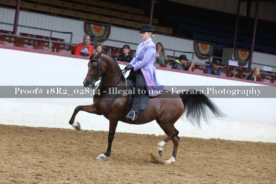 Proof 18R2_02834