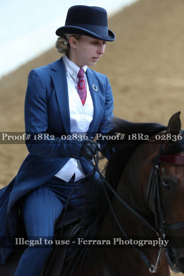 Proof 18R2_02836