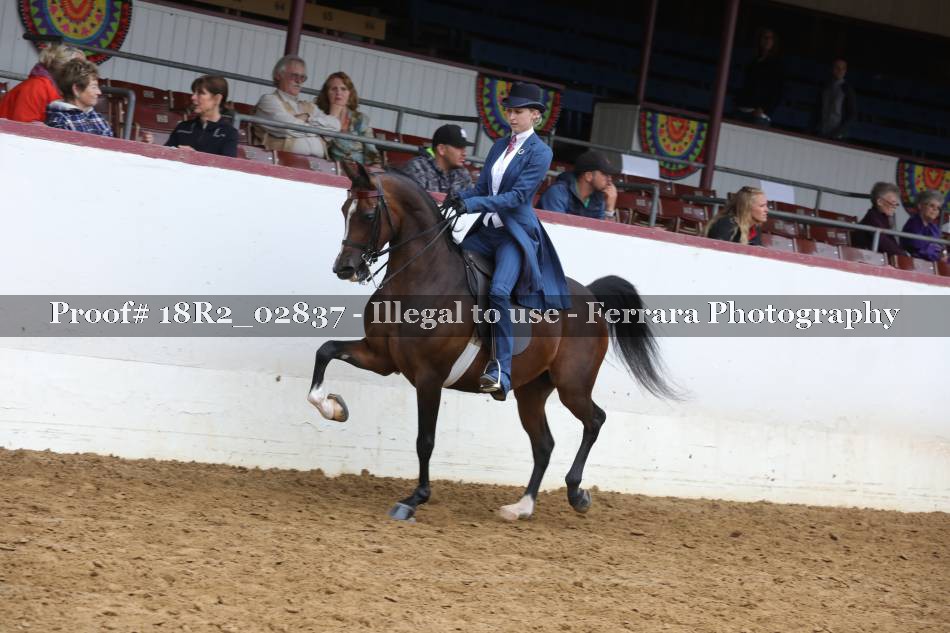 Proof 18R2_02837