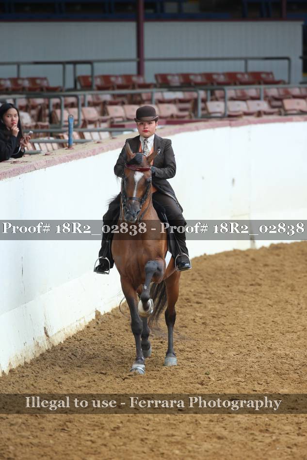 Proof 18R2_02838