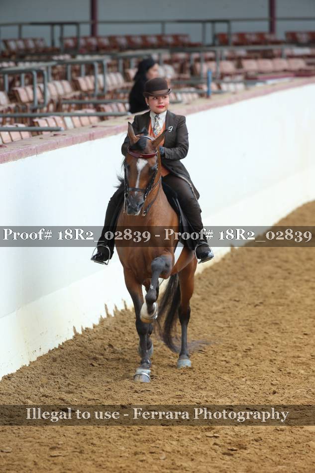 Proof 18R2_02839