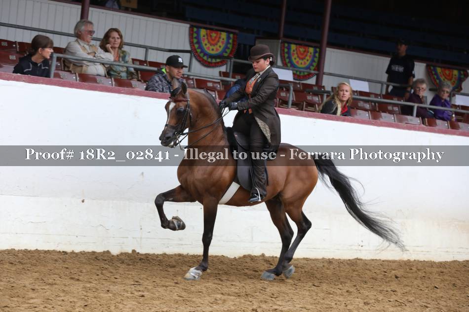 Proof 18R2_02841