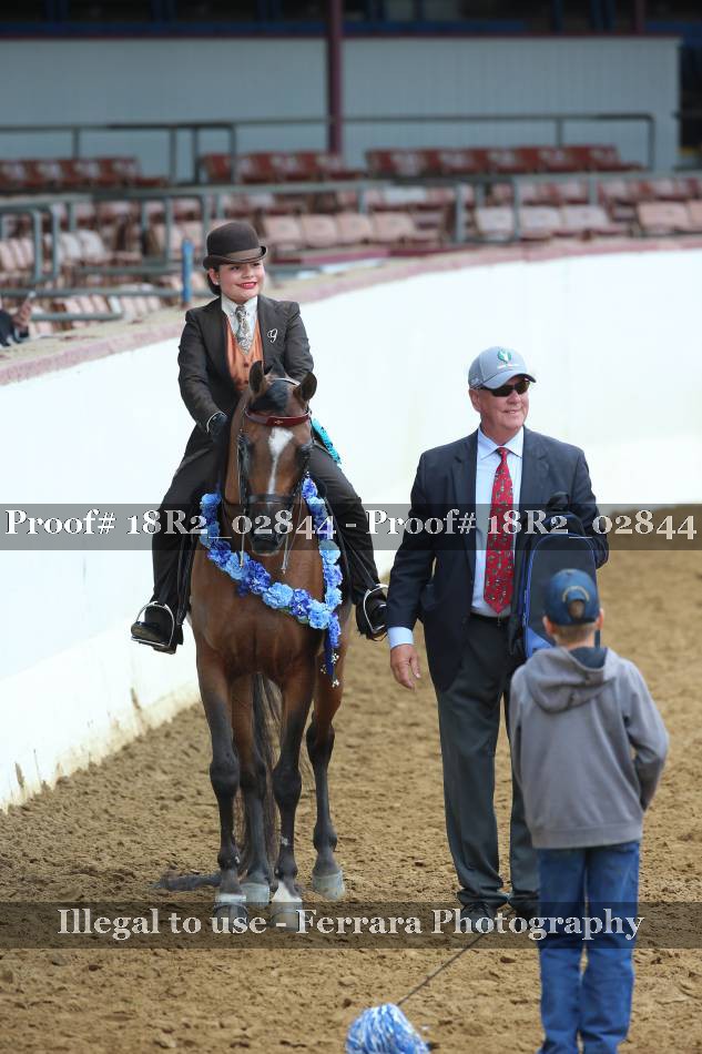 Proof 18R2_02844