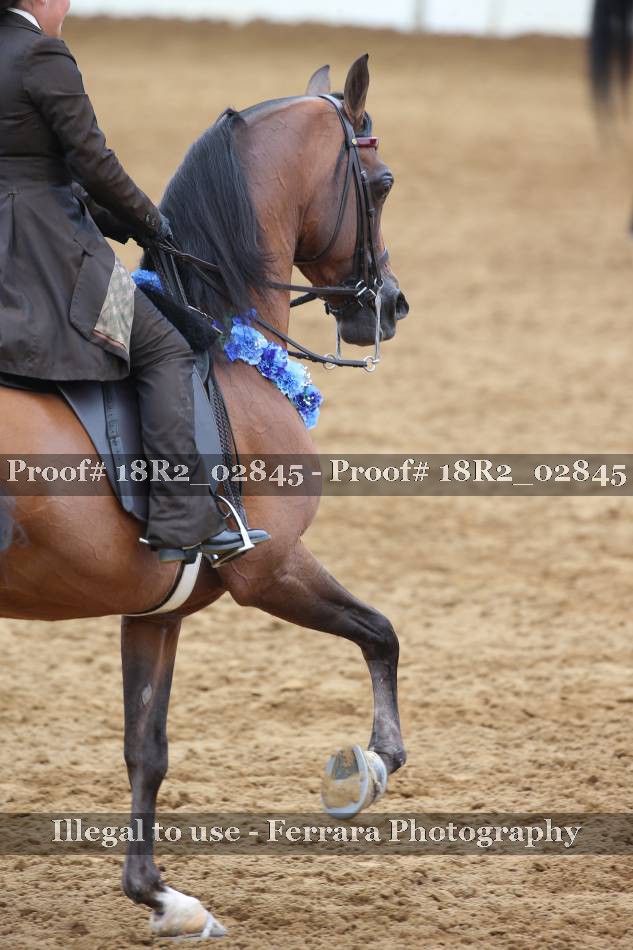 Proof 18R2_02845