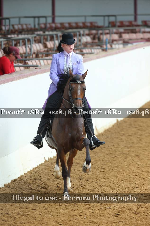Proof 18R2_02848