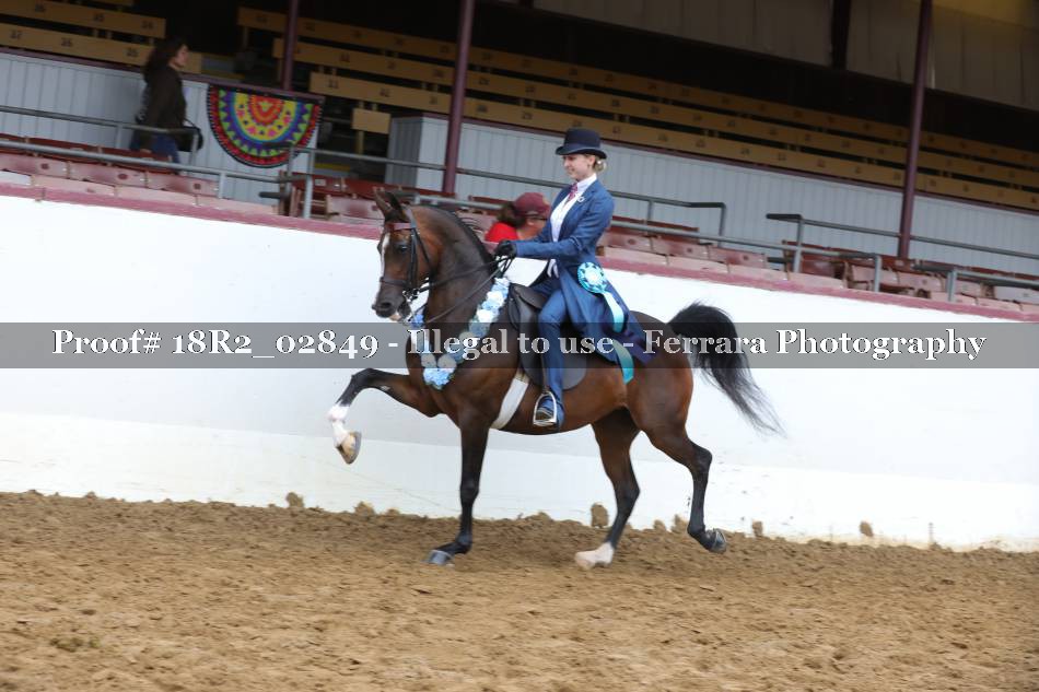 Proof 18R2_02849