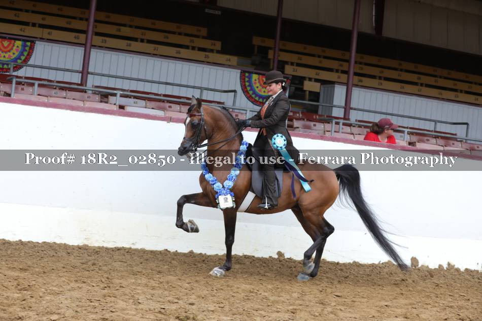 Proof 18R2_02850