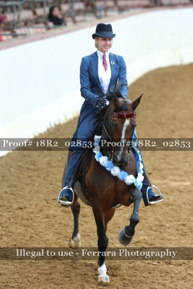 Proof 18R2_02853