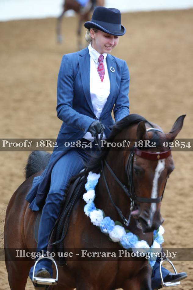 Proof 18R2_02854