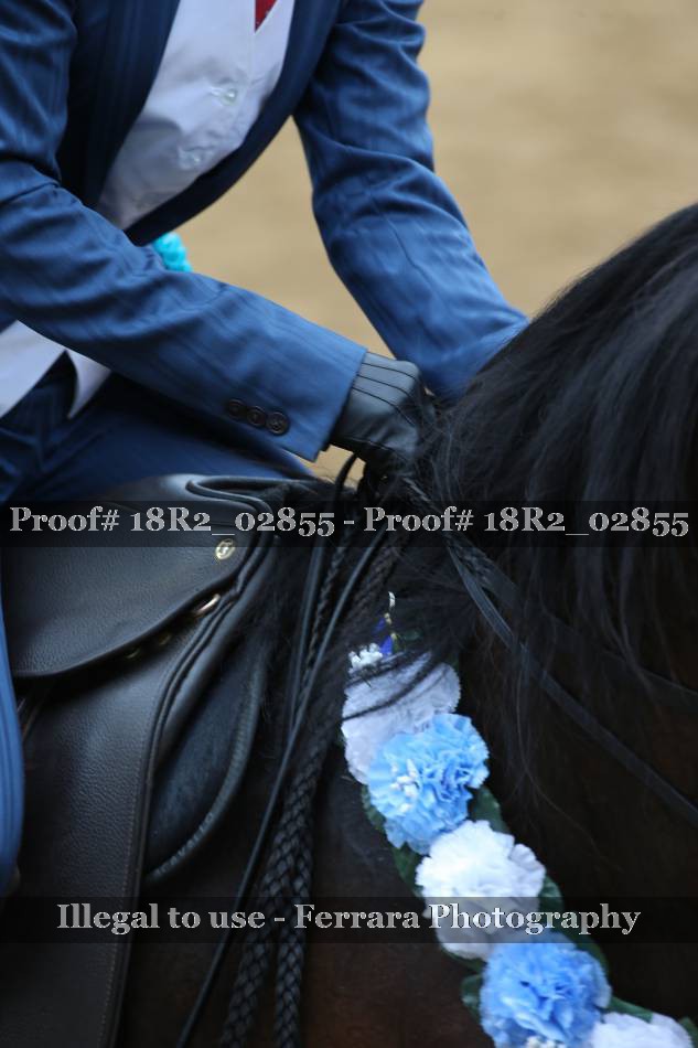 Proof 18R2_02855