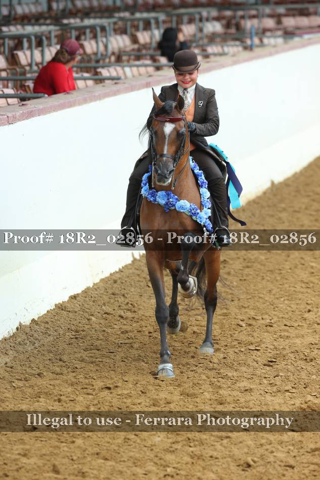 Proof 18R2_02856