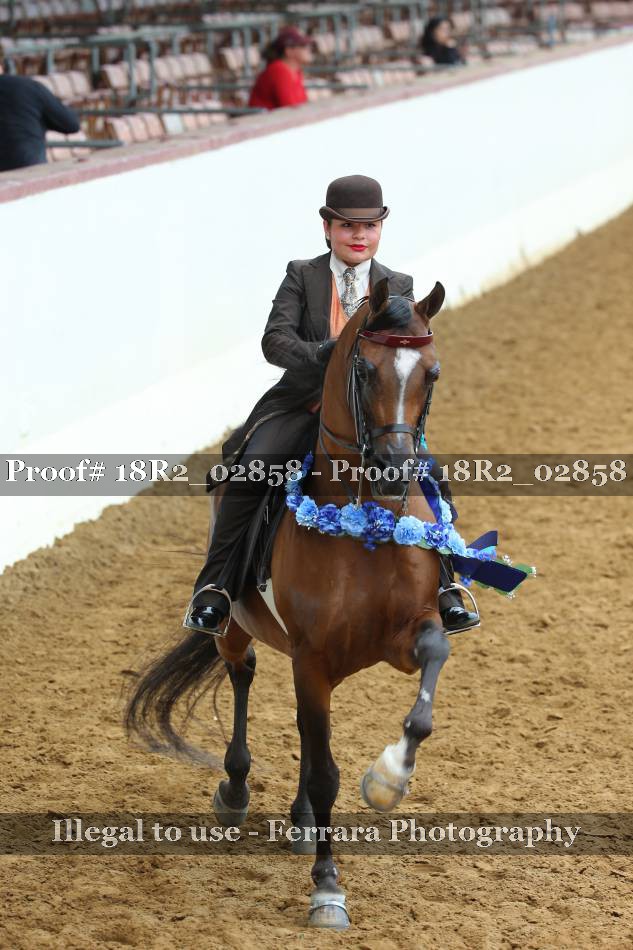 Proof 18R2_02858
