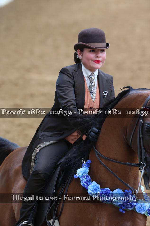 Proof 18R2_02859