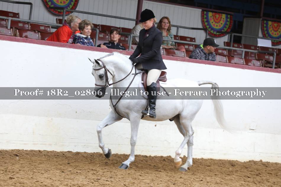 Proof 18R2_02896