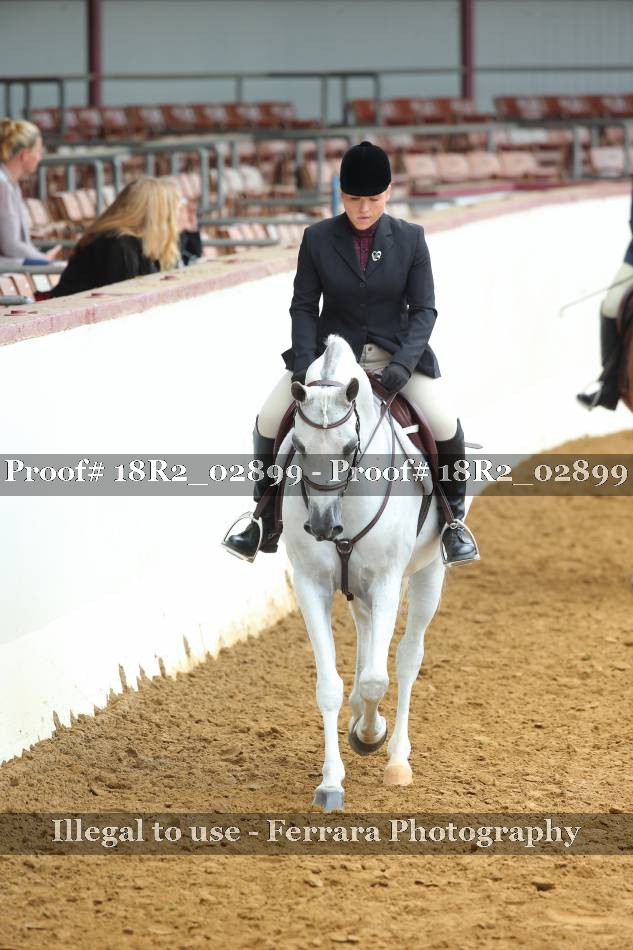 Proof 18R2_02899