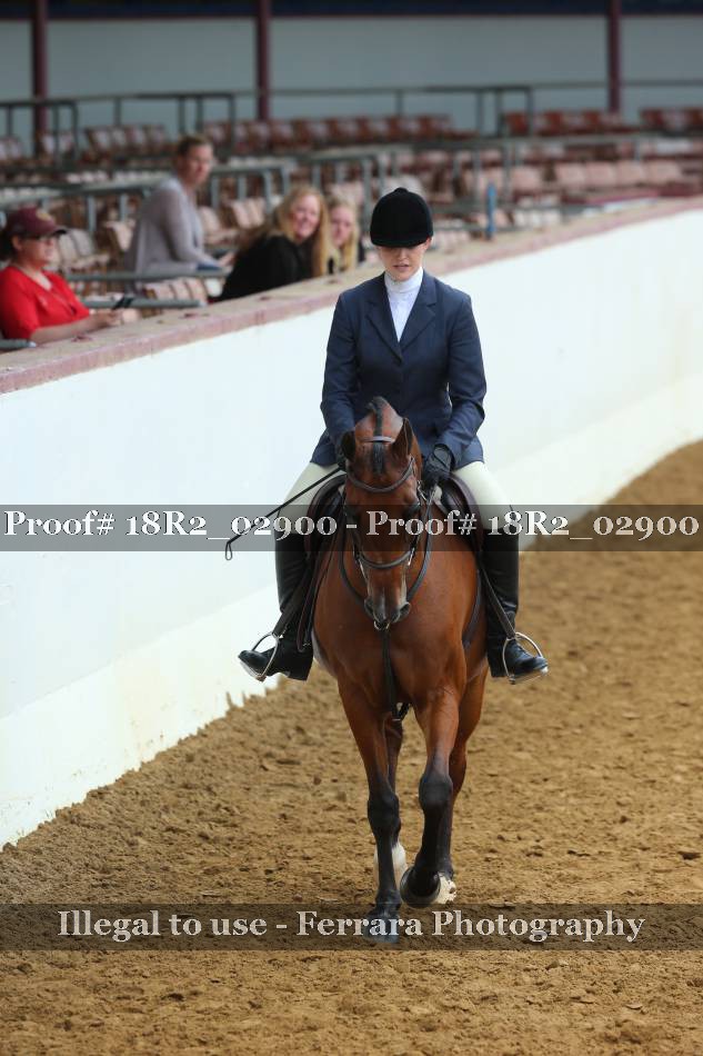 Proof 18R2_02900