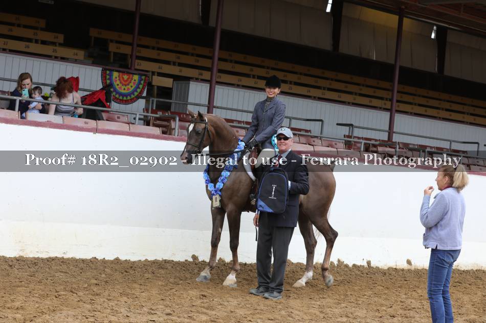 Proof 18R2_02902