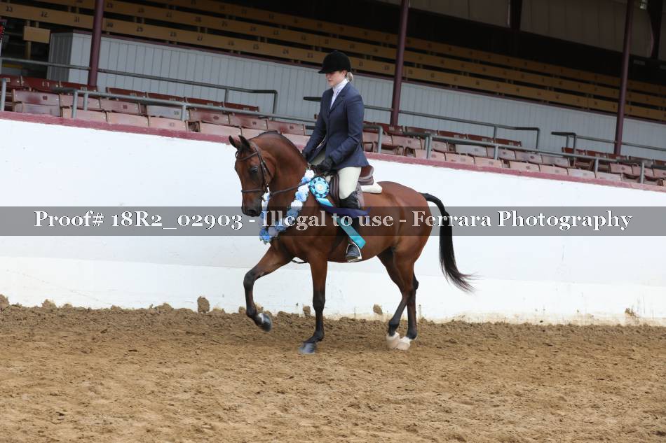 Proof 18R2_02903