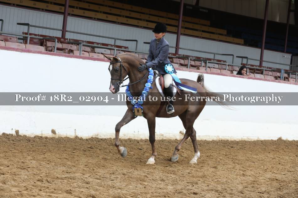 Proof 18R2_02904