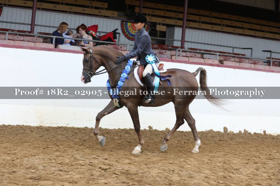 Proof 18R2_02905