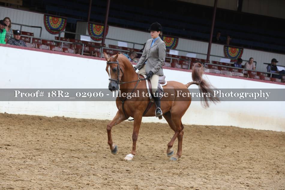 Proof 18R2_02906