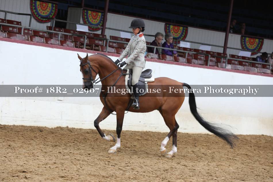 Proof 18R2_02907