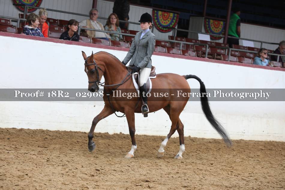 Proof 18R2_02908
