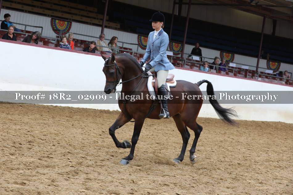 Proof 18R2_02909