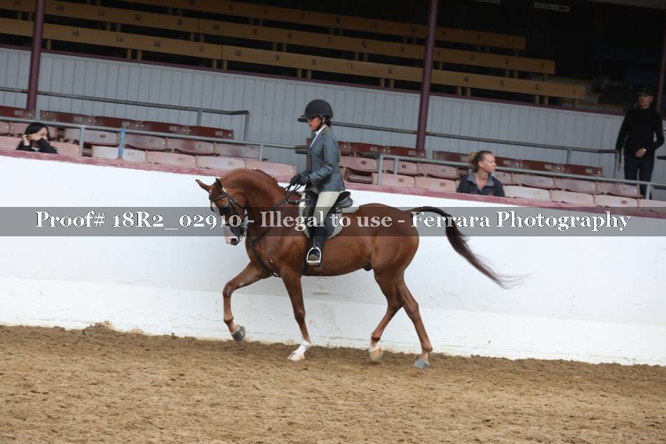 Proof 18R2_02910
