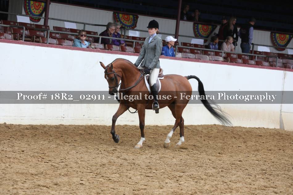Proof 18R2_02911
