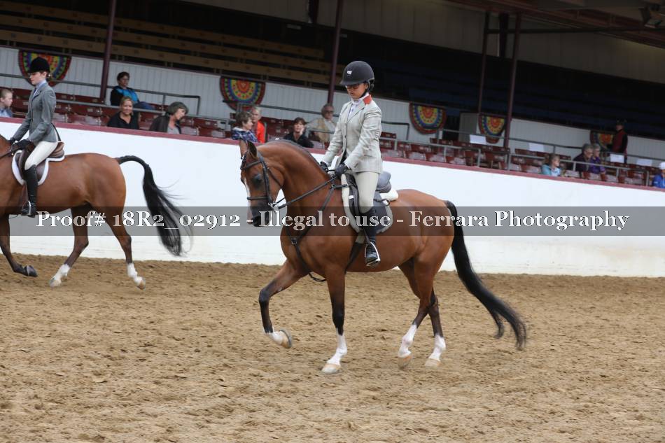 Proof 18R2_02912
