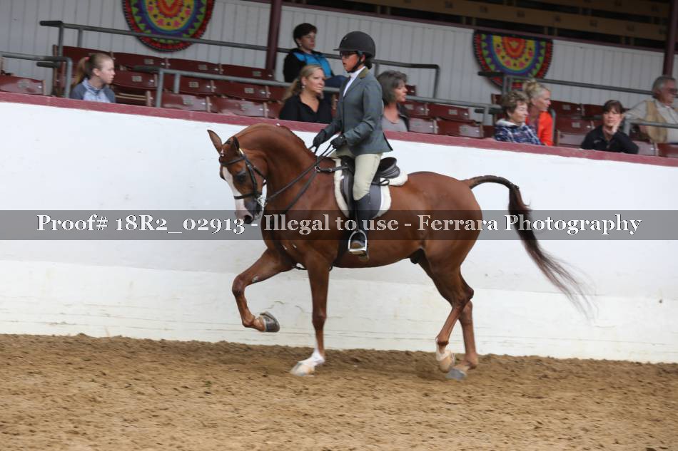 Proof 18R2_02913