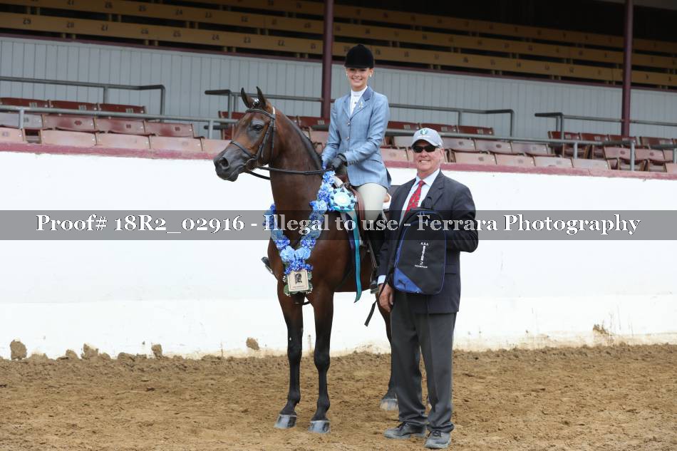Proof 18R2_02916