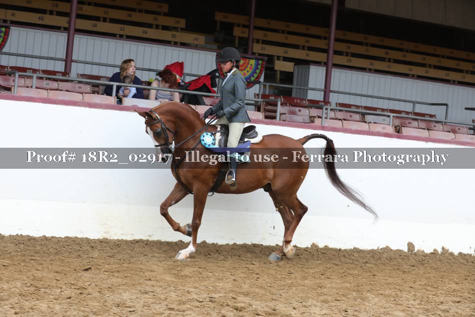 Proof 18R2_02917