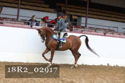 18R2_02917 proof