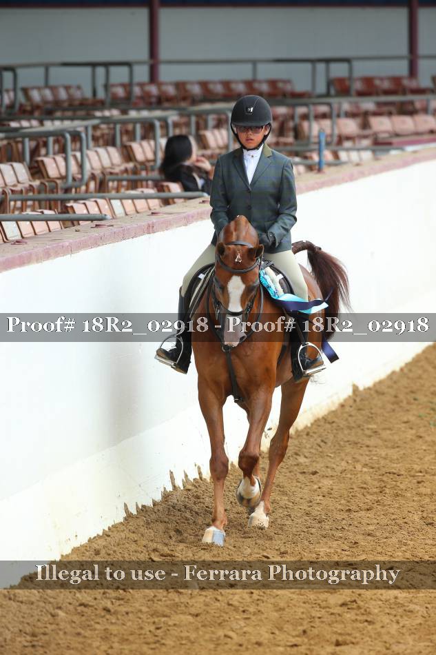 Proof 18R2_02918