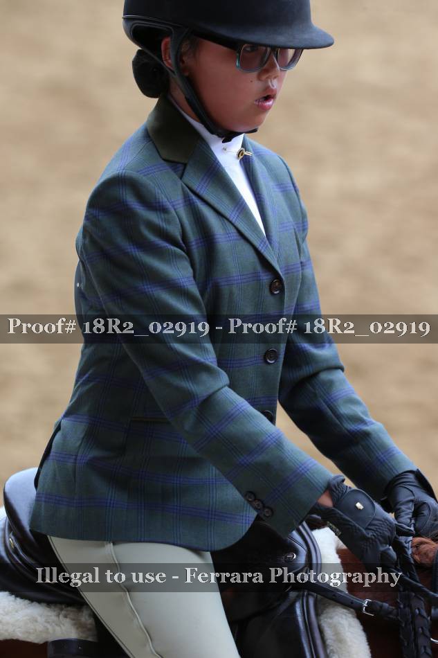 Proof 18R2_02919