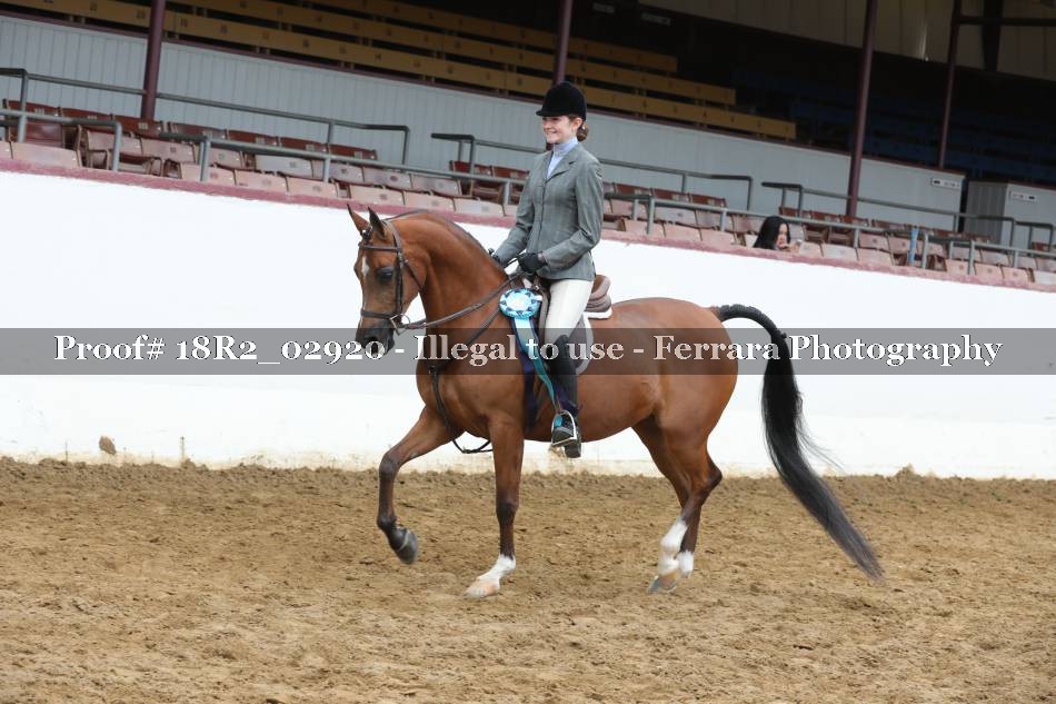 Proof 18R2_02920