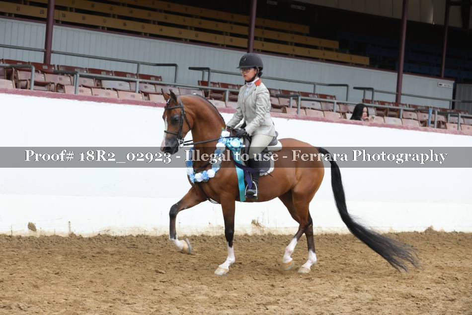 Proof 18R2_02923