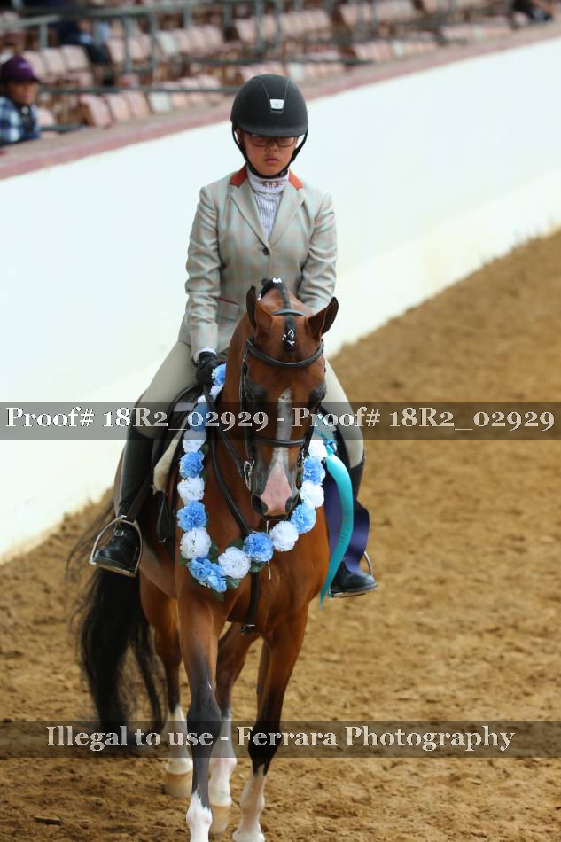 Proof 18R2_02929
