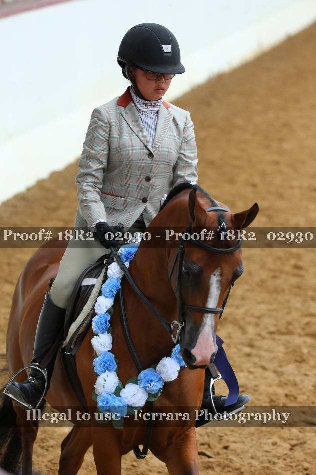 Proof 18R2_02930