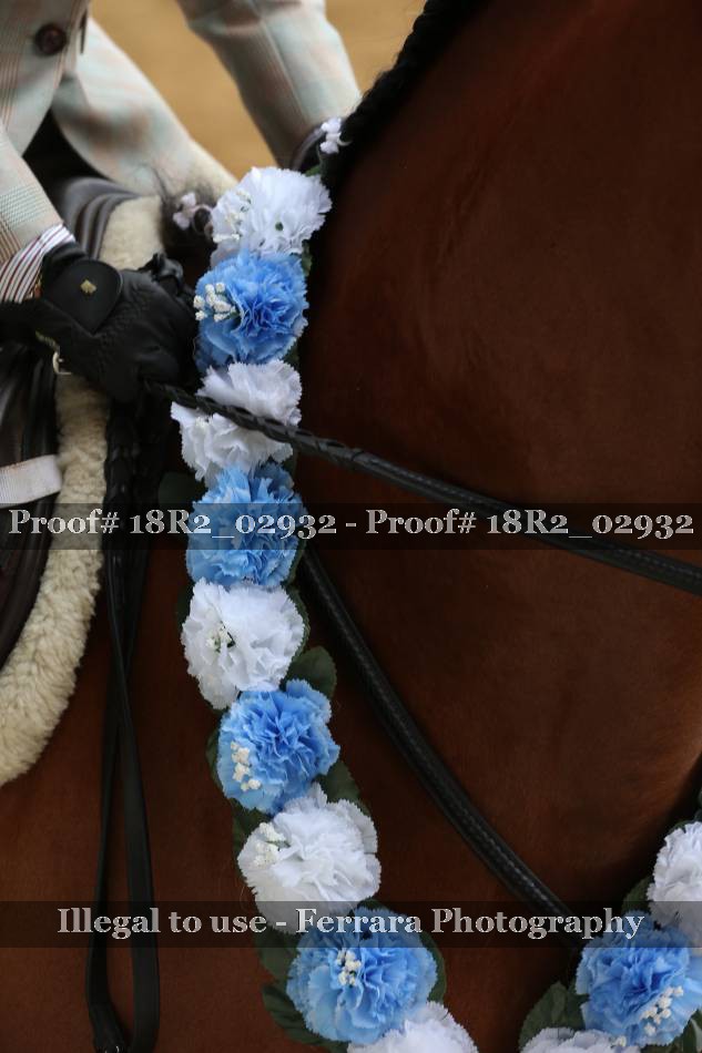 Proof 18R2_02932