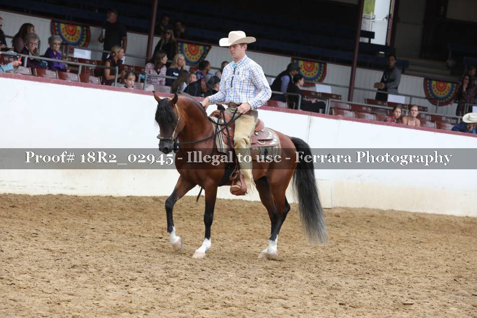 Proof 18R2_02945